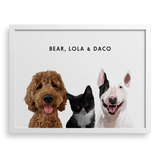 Custom Pet Portrait