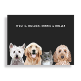 Custom Pet Portrait