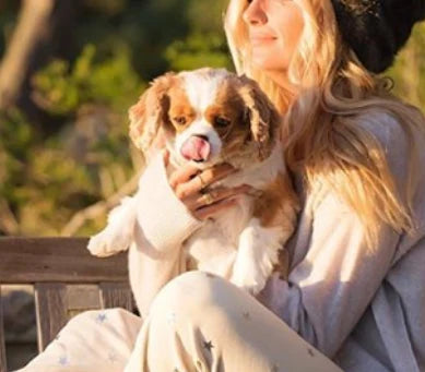 Dog held in someone's arms with part of the head and neck out of frame