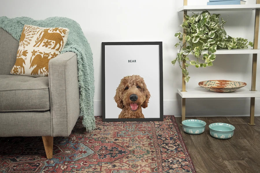 Modern Designs Featuring Your Pet